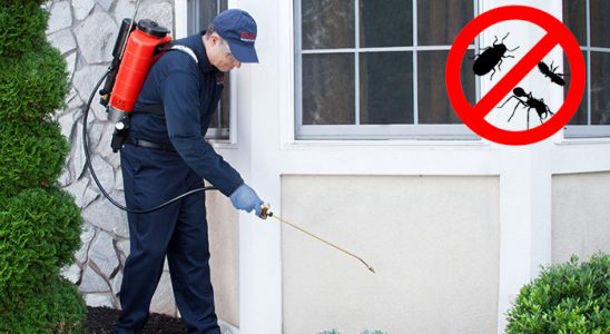 Dulkadiroğlu Böcek İlaçlama böcek ilaçlama ve haşere kontrolü — ilaclama-tr.com
